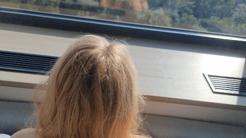 Our 6th Hotel Surfing video! Here we filmed at a very nice hotel with an amazing Forest View.